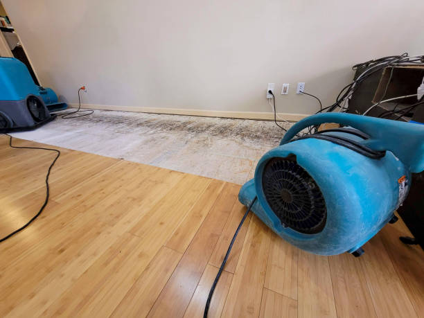 Professional Sewage Cleanup technician working in Drexel, OH